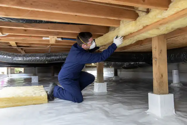 Insulation Contractor Website Design Insulation Contractor service image