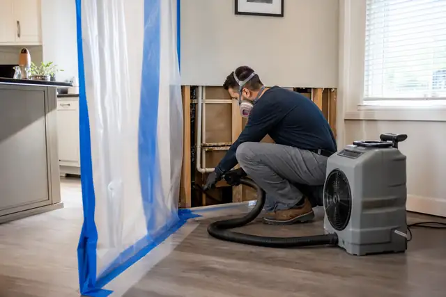 Mold Remediation Website Design Mold Remediation service image