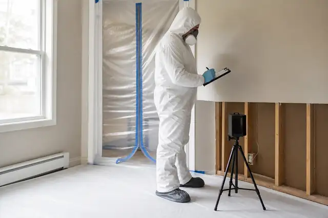 Mold Remediation Website Design Mold Remediation service image